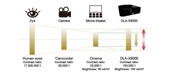 image3.jpeg image3.jpeg
