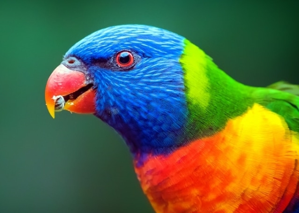 94370_4.jpg 94370_4.jpg