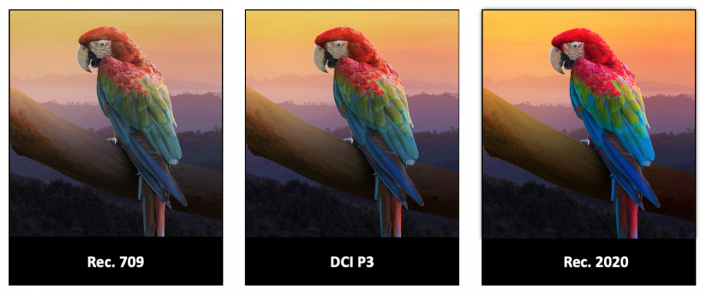 image_RGB_4.png image_RGB_4.png