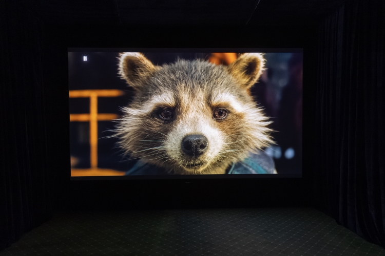 OLGA0109.jpg OLGA0109.jpg