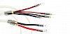 Акустический кабель Atlas Asimi с проводниками на основе серебра 2 x 2, 3.0 м [разъем Банан Z типа, позолоченный]