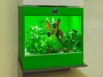 АГРОКЛАСС. Агролаборатория ECOBOX ED АГРОКЛАСС. Агролаборатория ECOBOX ED