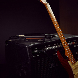 Пассивный спикер-симулятор Palmer RIVER ilm Пассивный спикер-симулятор Palmer RIVER ilm