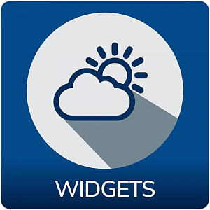 Аппаратная лицензия Spinetix Widgets постоянная Аппаратная лицензия Spinetix Widgets постоянная