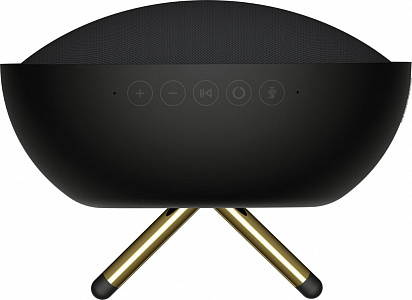 Мультирум колонка Defunc HOME SMALL, цвет-черный Мультирум колонка Defunc HOME SMALL, цвет-черный