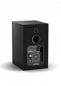 Комплект DALI OBERON 1 C Черный дуб + Sound Hub Compact Комплект DALI OBERON 1 C Черный дуб + Sound Hub Compact