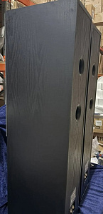 Напольная АС Phaze Audio Tilia 1 Напольная АС Phaze Audio Tilia 1