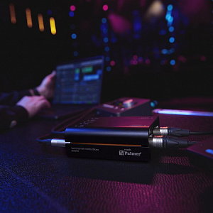 Пассивный 2-канальный медиа ди-бокс Palmer RIVER naab Пассивный 2-канальный медиа ди-бокс Palmer RIVER naab