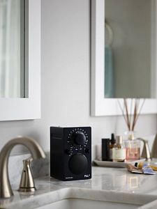 Портативный радиоприемник Tivoli PAL BT Портативный радиоприемник Tivoli PAL BT