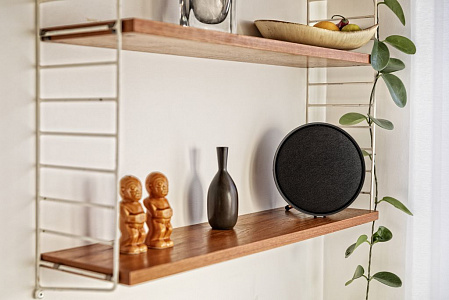 Мультирум колонка Defunc HOME LARGE. Цвет: Черный Мультирум колонка Defunc HOME LARGE. Цвет: Черный