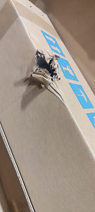 Экран настенный с электроприводом Digis DSEES-16903W_90 Экран настенный с электроприводом Digis DSEES-16903W_90