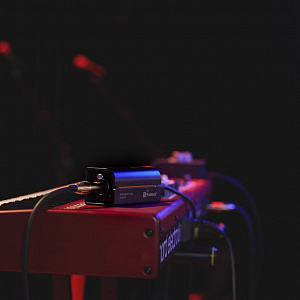 Пассивный линейный изолятор Palmer RIVER iller Пассивный линейный изолятор Palmer RIVER iller