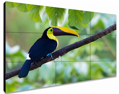 ЖК-панель для видеостен Exell EXPD-WA55AB35 55" ЖК-панель для видеостен Exell EXPD-WA55AB35 55"