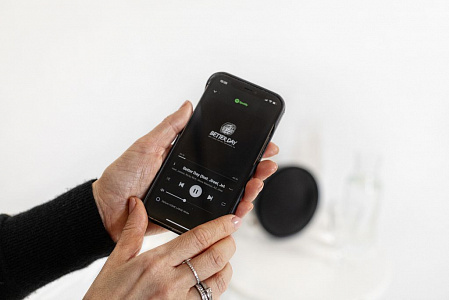 Мультирум колонка Defunc HOME SMALL, цвет-черный Мультирум колонка Defunc HOME SMALL, цвет-черный