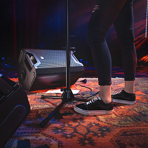 Активная коаксиальная акустическая система LD Systems ICOA 12 A Активная коаксиальная акустическая система LD Systems ICOA 12 A