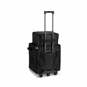Комплект аксессуаров LD Systems DAVE 10 G4X BAG SET Комплект аксессуаров LD Systems DAVE 10 G4X BAG SET