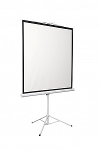 Экран на штативе Digis DSKD-1105 Экран на штативе Digis DSKD-1105