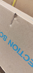 Экран настенный на раме Digis DSVFS-16906 Экран настенный на раме Digis DSVFS-16906