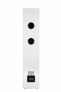 Напольная АС Phaze Audio Tilia 1 Напольная АС Phaze Audio Tilia 1