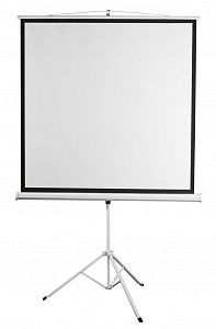 Экран на штативе Digis DSKD-1106 Экран на штативе Digis DSKD-1106