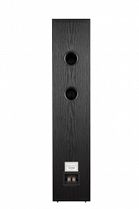 Напольная АС Phaze Audio Tilia 1 Напольная АС Phaze Audio Tilia 1