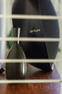 Мультирум колонка Defunc HOME LARGE. Цвет: Черный Мультирум колонка Defunc HOME LARGE. Цвет: Черный