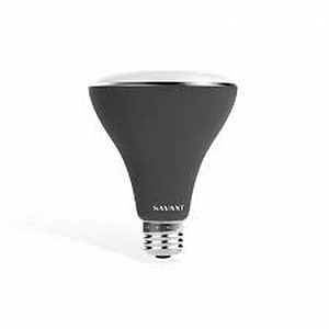 Светодиодные лампы SAVANT LIG-IBR30C4-00 Светодиодные лампы SAVANT LIG-IBR30C4-00