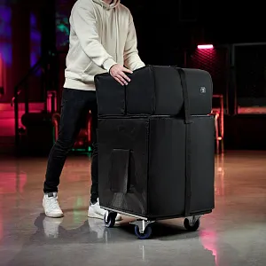Комплект аксессуаров LD Systems DAVE 12 G4X BAG SET Комплект аксессуаров LD Systems DAVE 12 G4X BAG SET