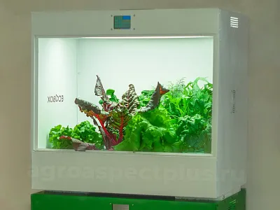 Гидропонная установка Агроаспект+ ECOBOX ED Гидропонная установка Агроаспект+ ECOBOX ED