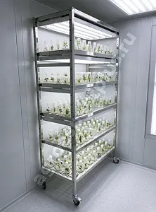 Микроклональная установка VeFarm-Invitro Микроклональная установка VeFarm-Invitro