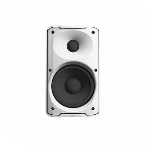 Двухполосная пассивная акустическая система LD Systems DQOR 5T W Двухполосная пассивная акустическая система LD Systems DQOR 5T W