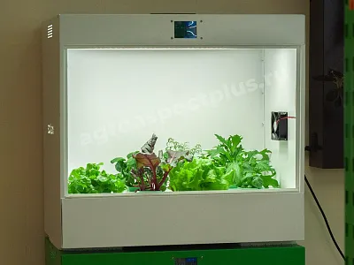 Гидропонная установка Агроаспект+ ECOBOX ED Гидропонная установка Агроаспект+ ECOBOX ED